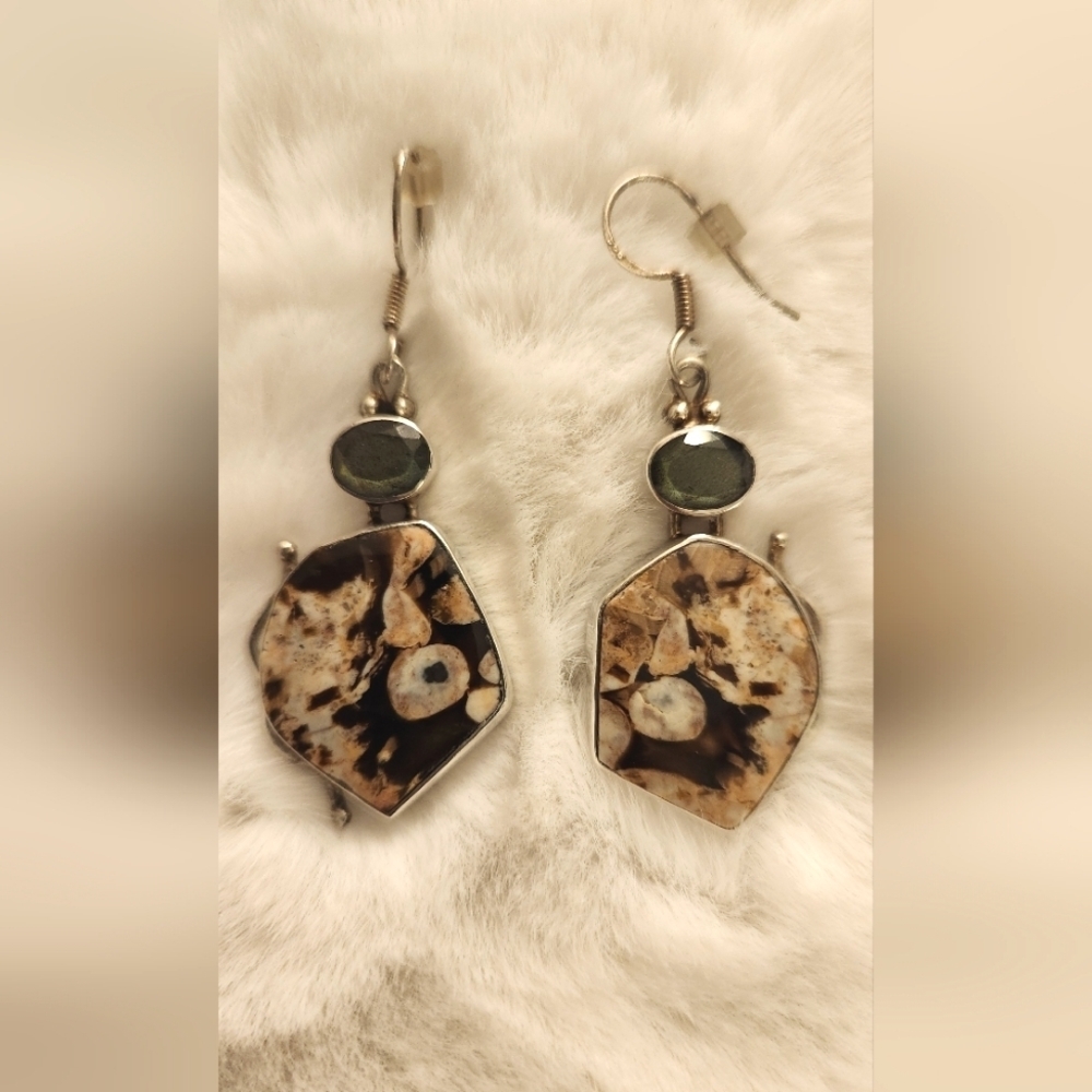 Crystal Stone Silver Drop Earrings